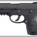 P250 Sub Compact Nitron Rail