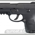 P250 Sub Compact Nitron Rail Photo 1