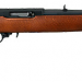 Ruger 10 22 Carbine