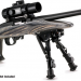Ruger 22 Charger