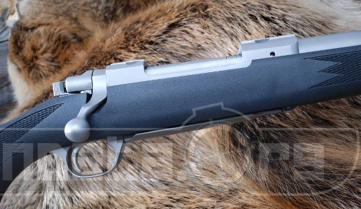 Ruger M77 Hawkeye All Weather Photo 2