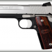 Sig Sauer 1911 C3