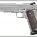 Sig Sauer 1911 Stainless Rail