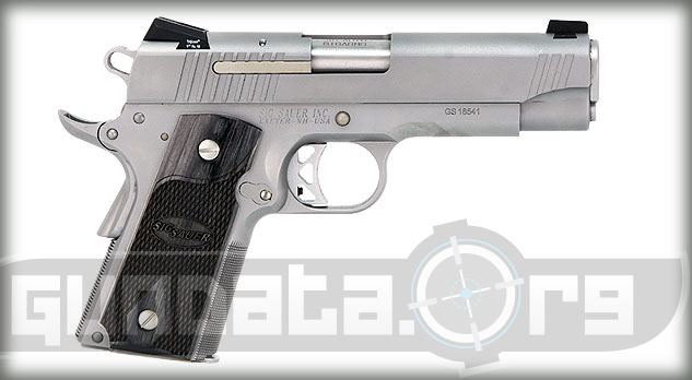 Sig Sauer 1911 Traditional Compact Stainless Photo 2
