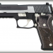 Sig Sauer P220 Equinox