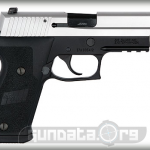 Sig Sauer P220 Two Tone DAK Photo 2