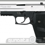 Sig Sauer P220 Two Tone DAK Photo 1