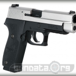 Sig Sauer P220 Two Tone DAK Photo 3