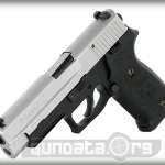 Sig Sauer P220 Two Tone DAK Photo 5