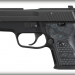 Sig Sauer P224 Extreme