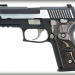Sig Sauer P229 Equinox