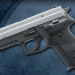 Sig Sauer P229 Two Tone