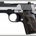 Sig Sauer P238 Equinox