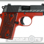 Sig Sauer P238 Lady Photo 2