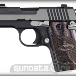 Sig Sauer P938 Equinox Photo 1