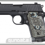 Sig Sauer P938 Extreme Photo 1