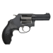 Smith and Wesson Model M and P360 Photo 1