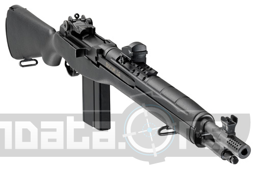 Springfield Arms M1A Photo 2