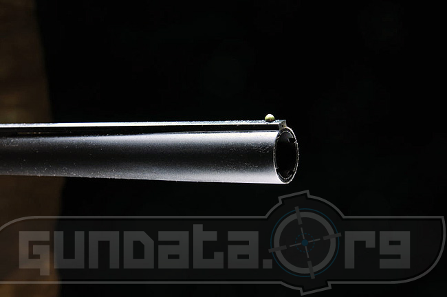 Winchester SX3 Black Field Photo 5