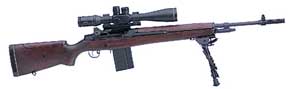 Springfield M1A Tactical border=