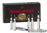 Winchester Silvertip 95gr