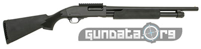 Interstate Arms Black GA Defender