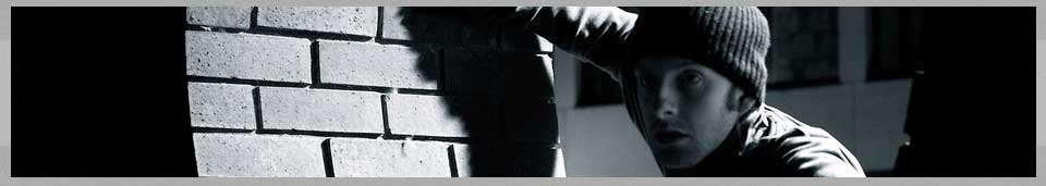 The Protector : Home Defense 101