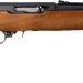 Ruger 10 22 Compact