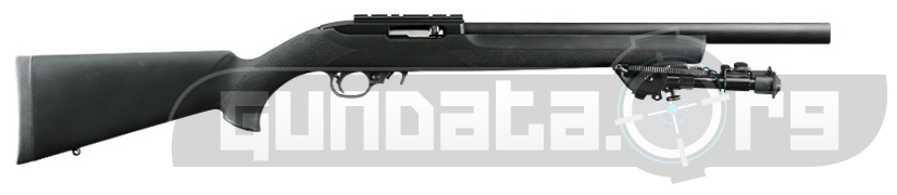 Ruger 10 22 Tactical Photo 2