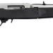 Ruger 10 22 Takedown