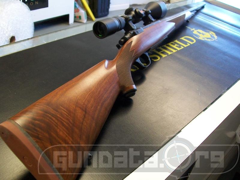 Ruger M77 Hawkeye Left Handed Photo 4