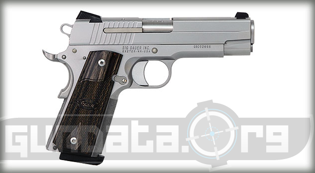 Sig Sauer 1911 Carry Stainless Photo 2