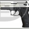 Sig Sauer Mosquito Two Tone