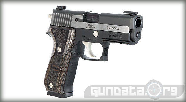 Sig Sauer P220 Carry Equinox Review & Price GunData.org