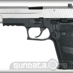 Sig Sauer P226 Two Tone Review & Price GunData.org