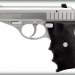 Sig Sauer P232 Stainless Photo 1