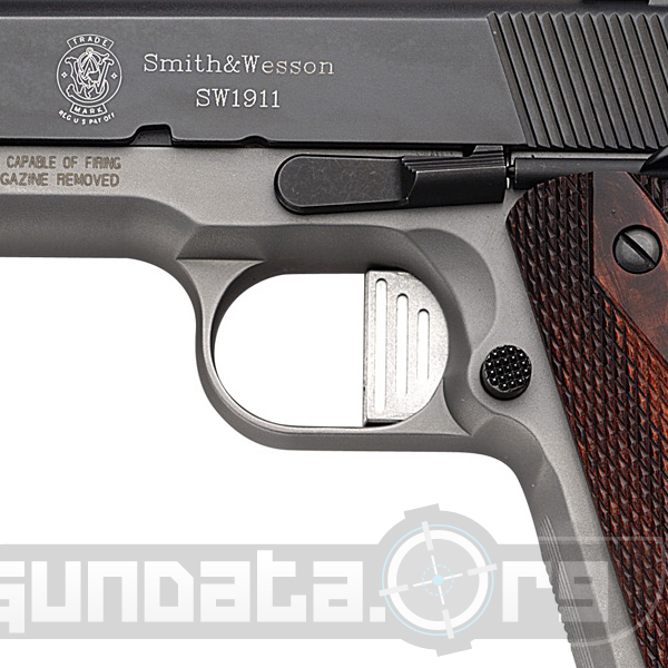 Smith and Wesson Model SW1911DK Photo 4